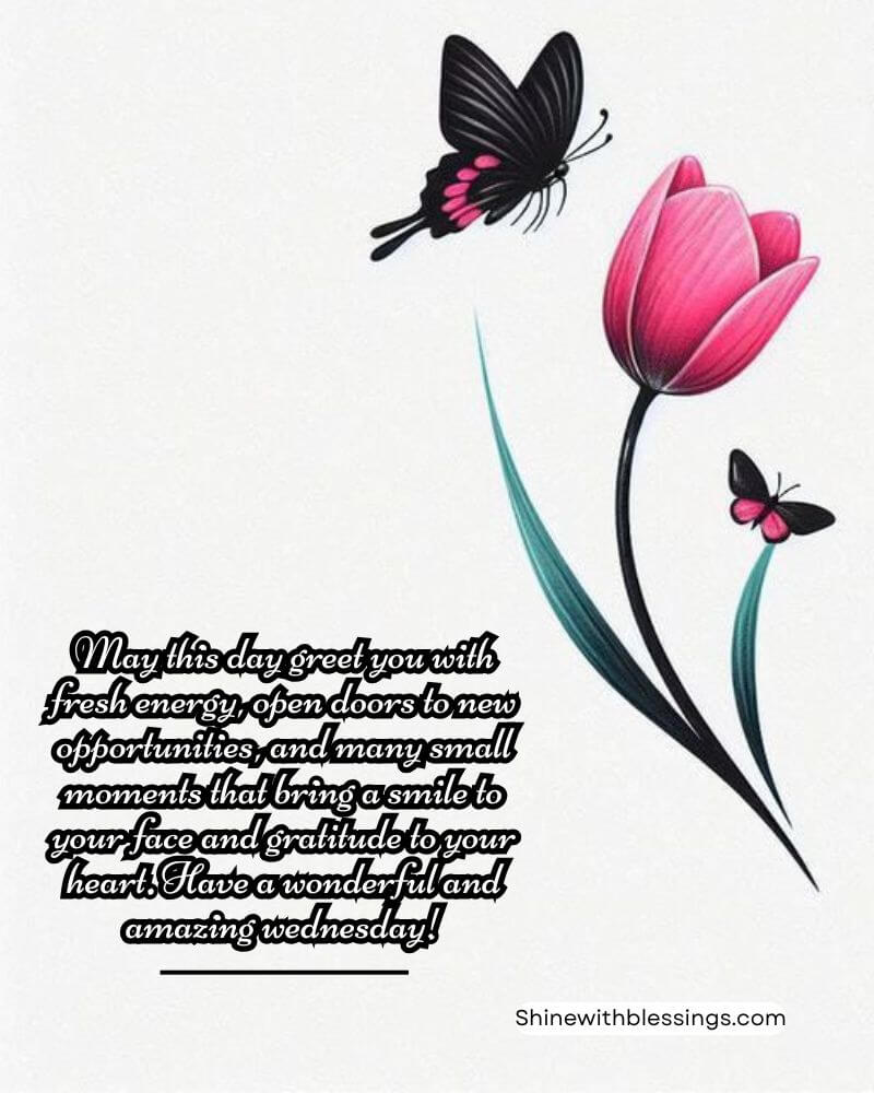 Lovely Hello Wednesday Messages with flower and butterfly