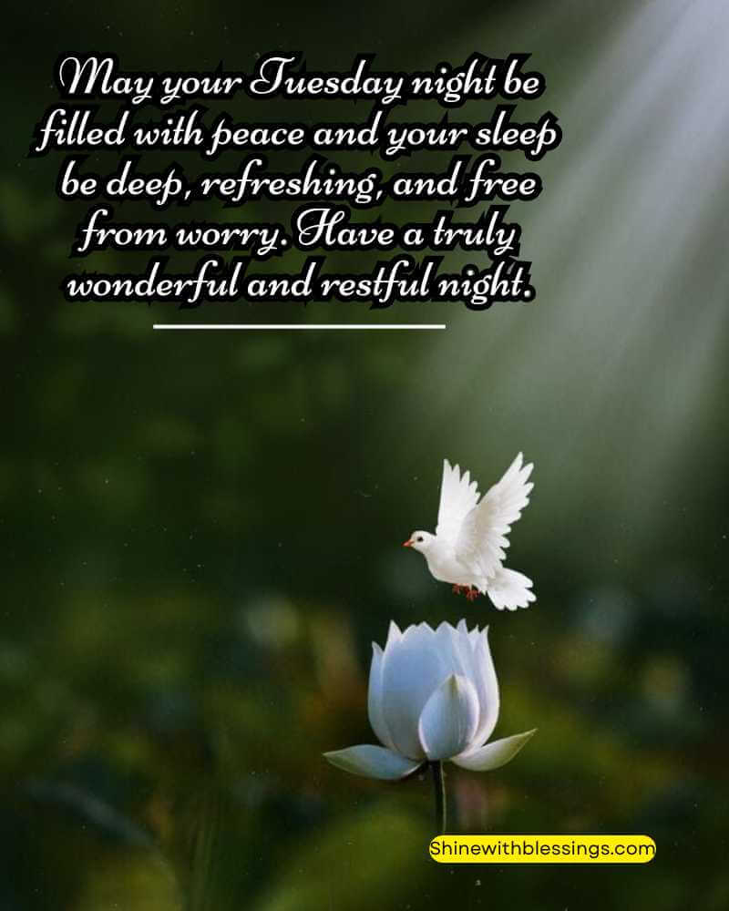 Tuesday Night Blessings for a restful and deep Sleep