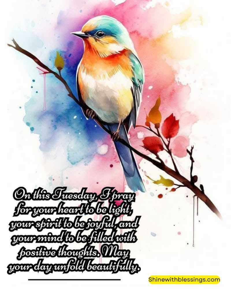 Positive Tuesday Prayers and Blessings for a Happy Day