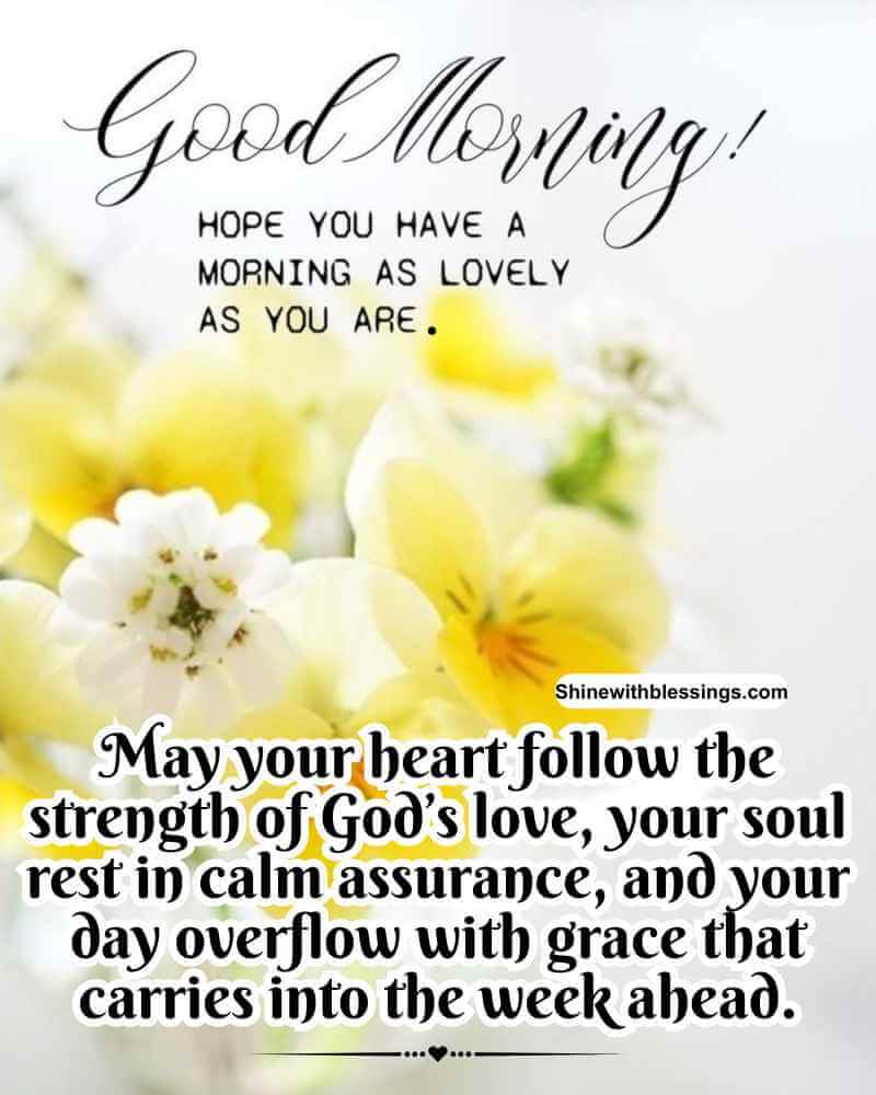 Happy and Blessed Saturday Morning